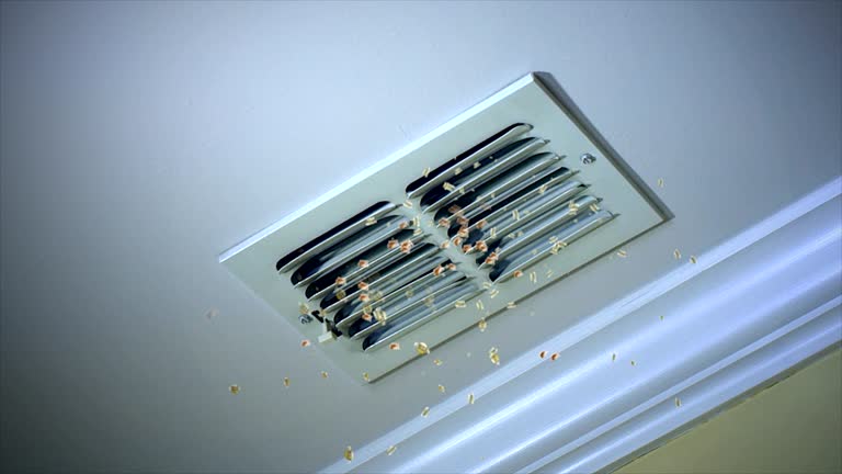 Best Affordable Air Duct Cleaning  in Pooler, GA